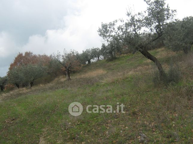 Terreno agricolo in commerciale in Via Rocca Sant'Angelo