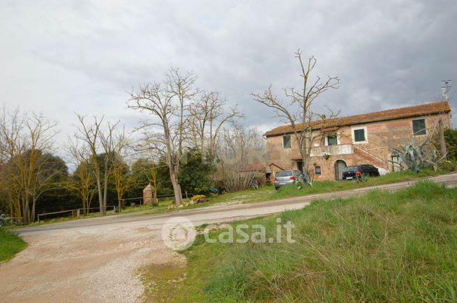 Rustico/casale in residenziale in Via Maria Alessandra Barbantini 8