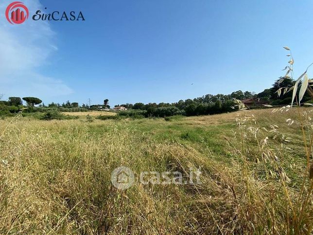 Terreno agricolo in commerciale in Via Aurelia