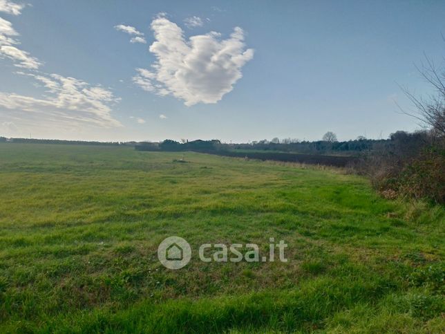 Terreno agricolo in commerciale in Località Selva Castalda