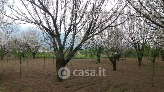 Terreno agricolo in commerciale in Viale Antonio Gramsci