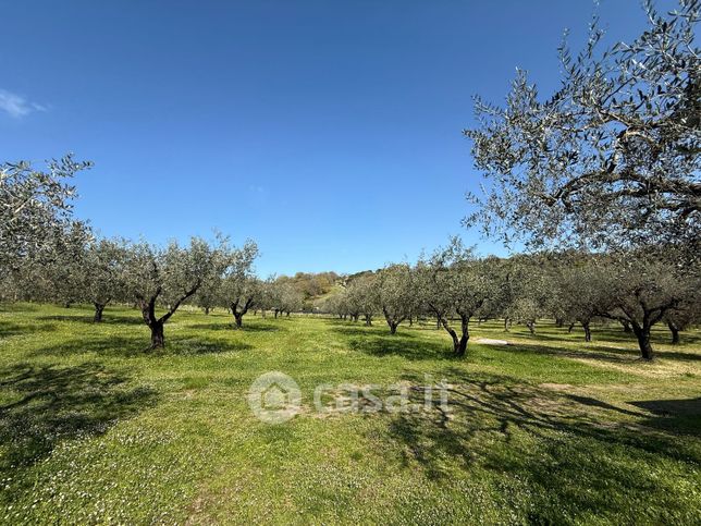 Terreno agricolo in commerciale in Via Filippo Compagnucci