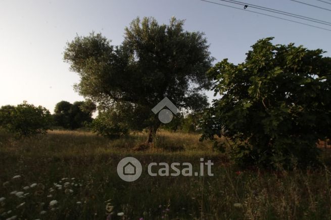Terreno agricolo in commerciale in 