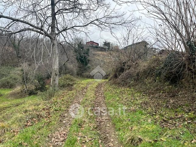 Terreno agricolo in commerciale in Via San Silvestro