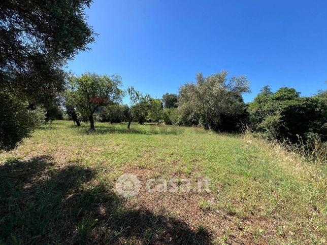 Terreno agricolo in commerciale in 
