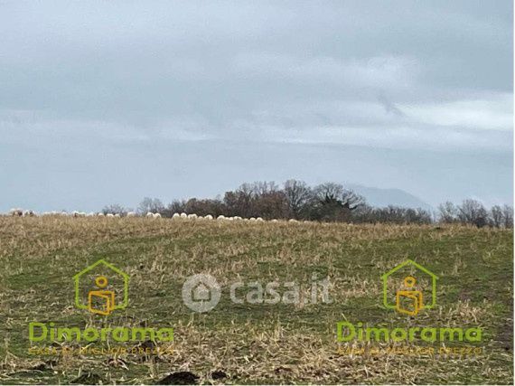 Terreno agricolo in commerciale in Via Clemente II