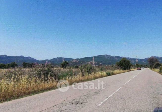 Terreno agricolo in commerciale in Guardia Longa