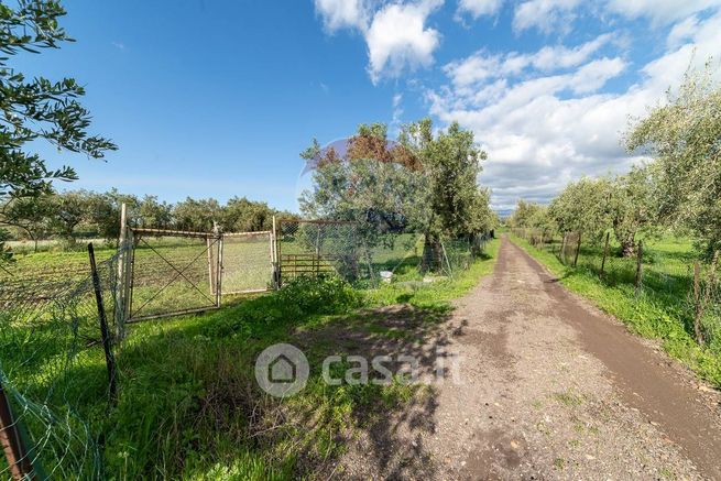 Terreno agricolo in commerciale in Via Terre Nere 161