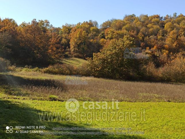 Terreno agricolo in commerciale in 