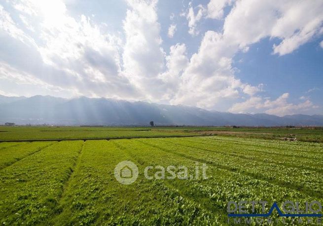 Terreno agricolo in commerciale in Strada del Bigolo
