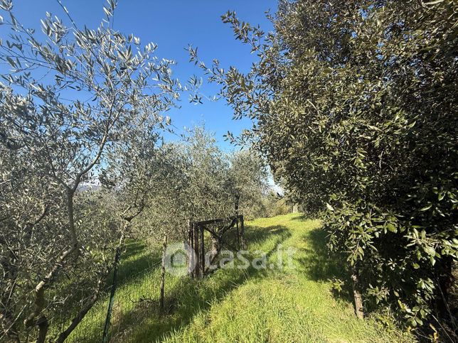 Terreno agricolo in commerciale in Via Leonardo da Vinci