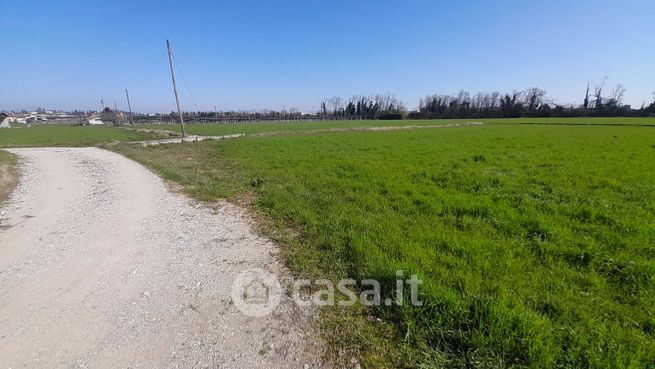 Terreno agricolo in commerciale in 