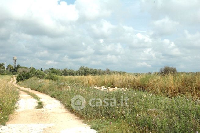 Terreno agricolo in commerciale in CJXW+7R3 Manduria, Provincia di Taranto