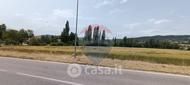 Terreno agricolo in commerciale in Via Case Fabbrizi