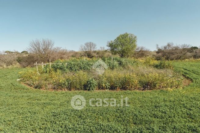 Terreno agricolo in commerciale in 