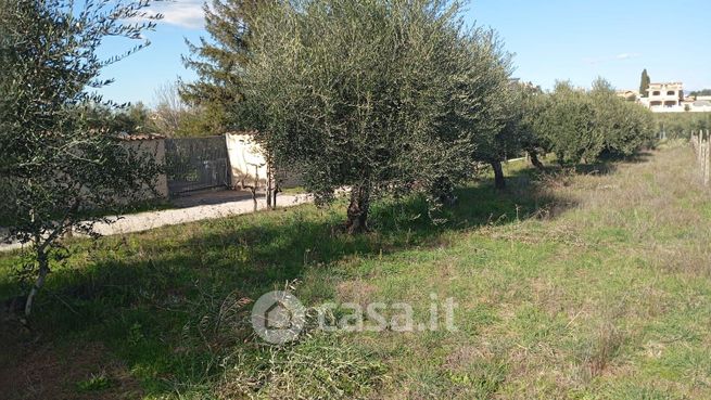 Terreno agricolo in commerciale in Via degli Uliveti 33