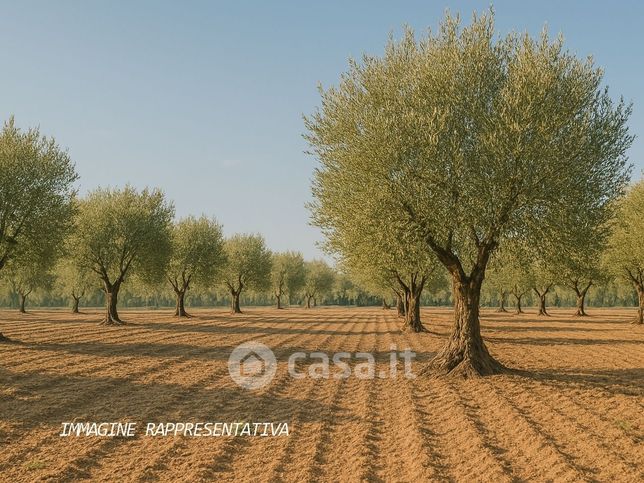 Terreno agricolo in commerciale in 