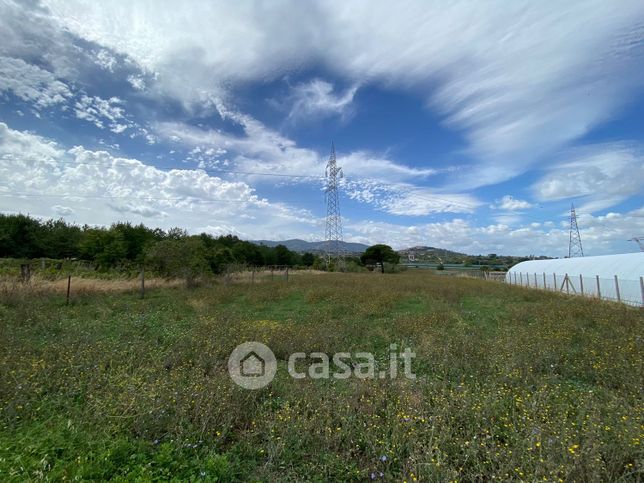 Terreno agricolo in commerciale in Via dei Quarticcioli