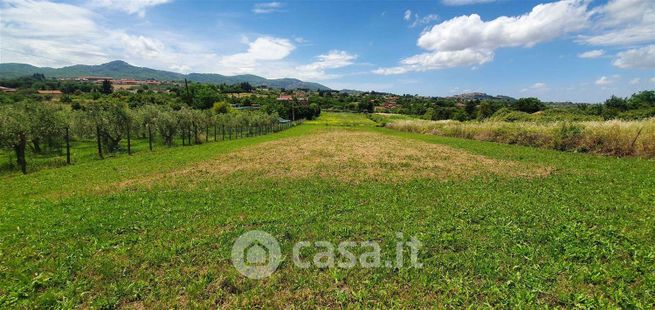 Terreno agricolo in commerciale in Via del Carzolese