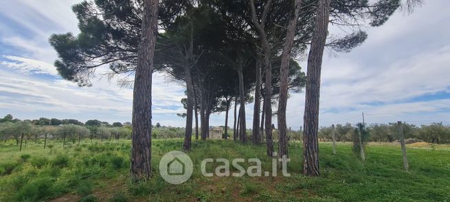 Terreno agricolo in commerciale in Via Natalino Sapegno