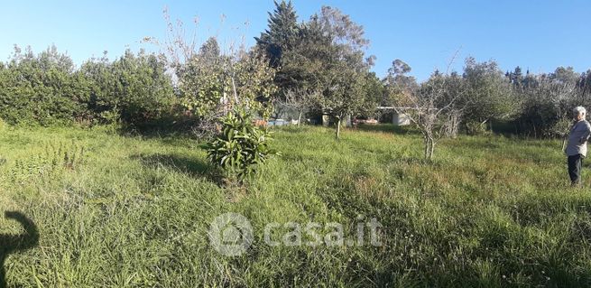 Terreno agricolo in commerciale in Via delle Gore 73 -71