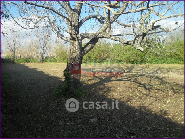 Terreno agricolo in commerciale in Via Masseria Chiavettieri