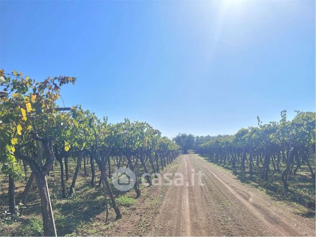 Terreno agricolo in commerciale in Strada Provinciale 95