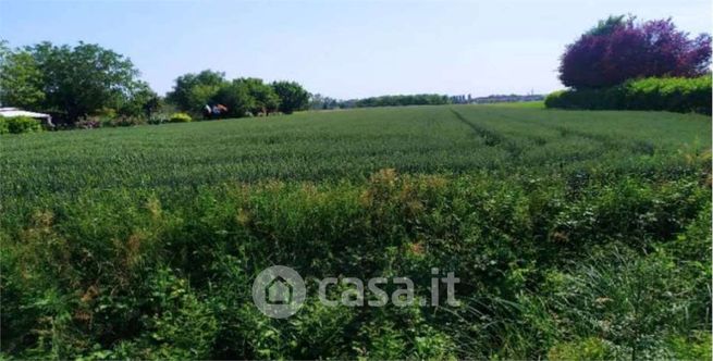 Terreno agricolo in commerciale in Piazza Angelo Trevisan