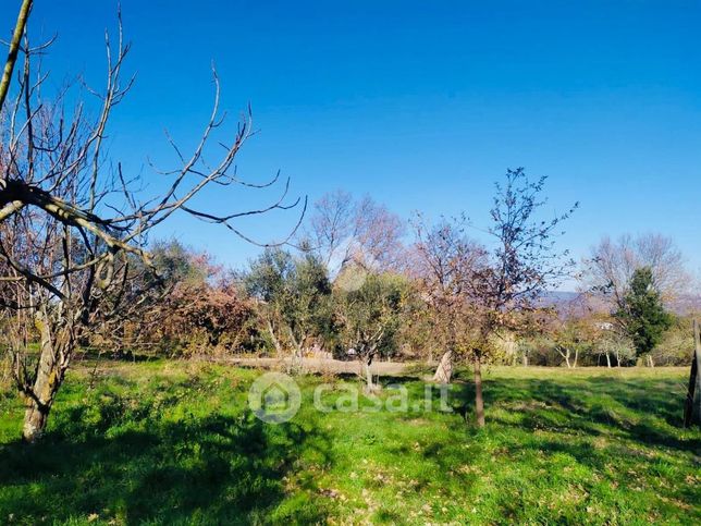 Terreno agricolo in commerciale in Strada Comunale Oriolese