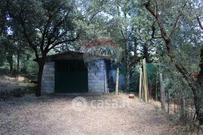 Terreno agricolo in commerciale in Strada Provinciale 43