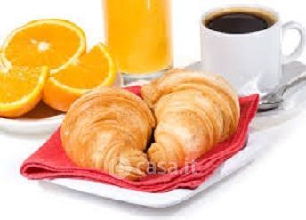 Attivitã /licenza (con o senza mura) in commerciale in 