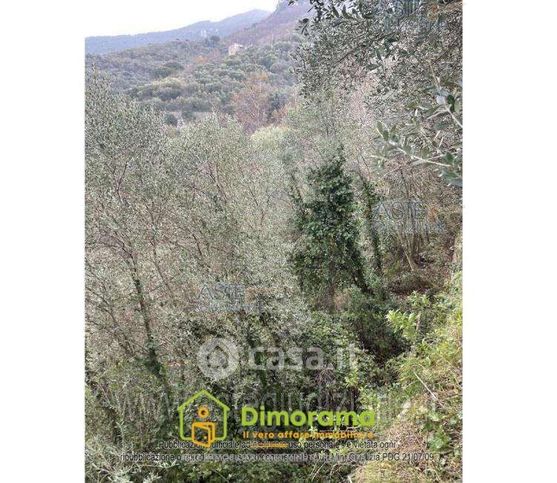 Terreno agricolo in commerciale in Via Sperlonga