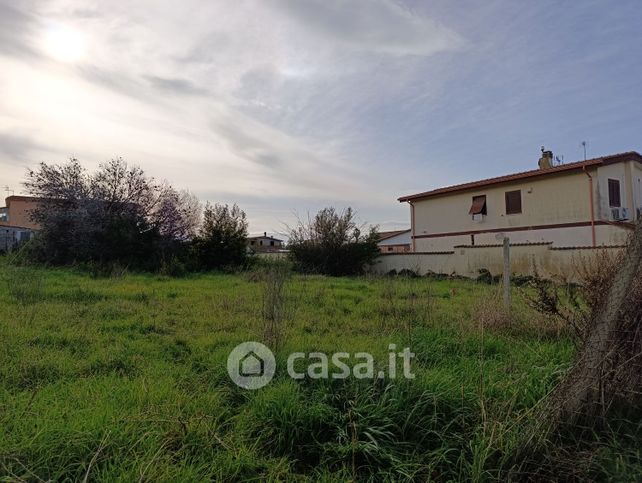 Terreno agricolo in commerciale in Via Simeri