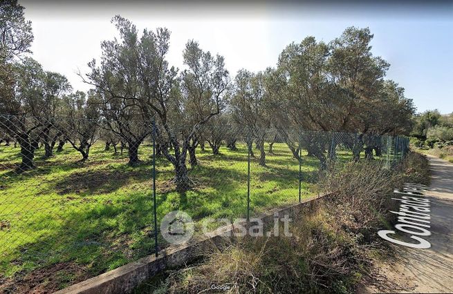 Terreno agricolo in commerciale in 