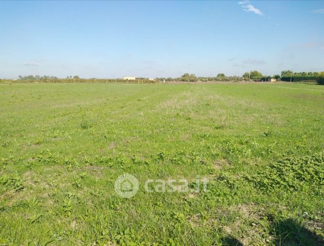 Terreno agricolo in commerciale in agro di Novoli