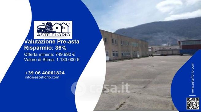 Capannone in commerciale in SP51