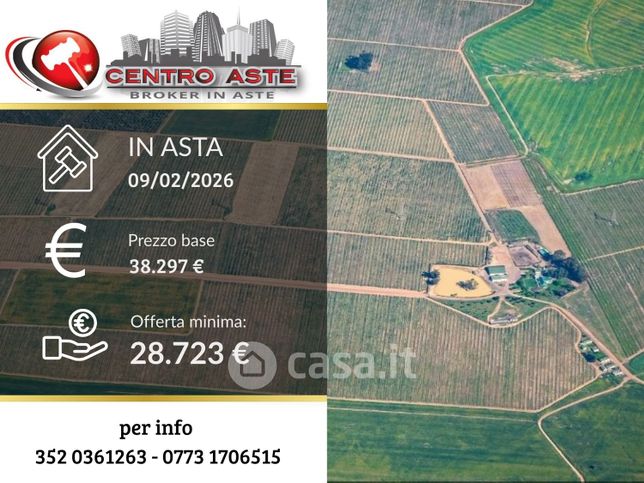 Terreno agricolo in commerciale in Via Pantanello