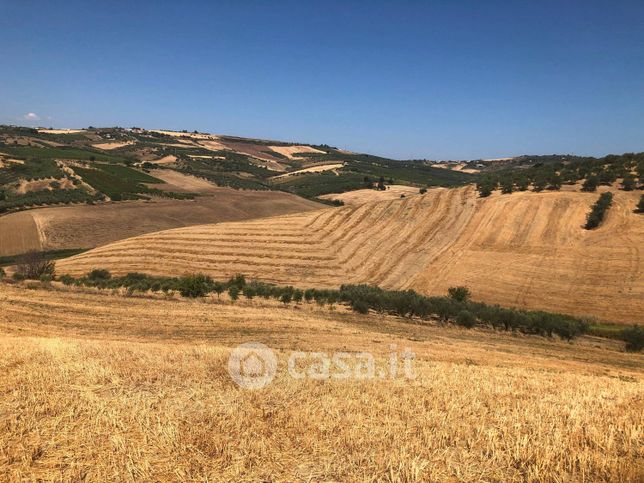 Terreno agricolo in commerciale in 