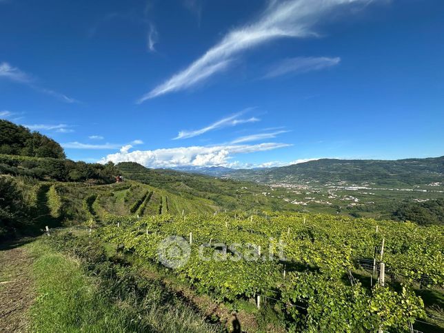 Terreno agricolo in commerciale in Via Molini