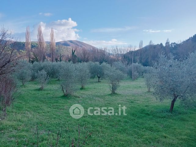 Terreno agricolo in commerciale in 