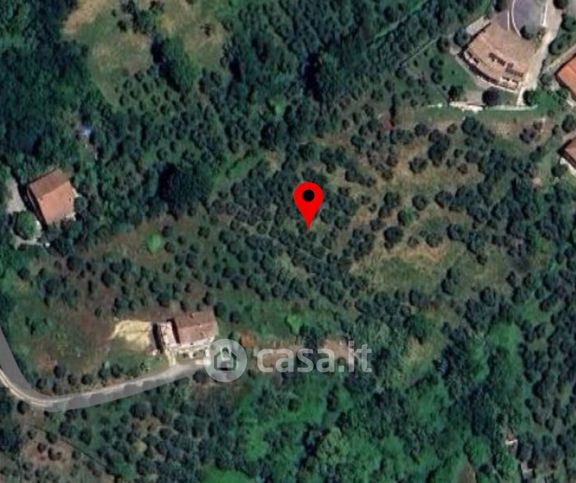 Terreno agricolo in commerciale in Via Rigliano 9