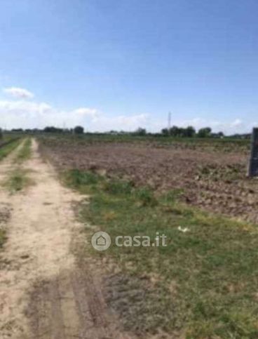 Terreno agricolo in commerciale in Via San Giuseppe
