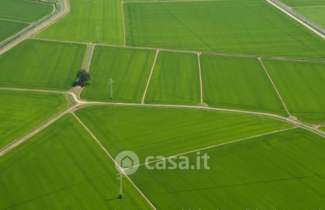 Terreno agricolo in commerciale in lomello