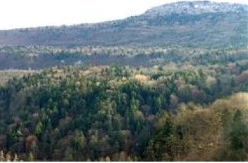 Terreno agricolo in commerciale in Via G. Prati