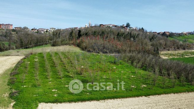 Terreno agricolo in commerciale in Strada Genovesi