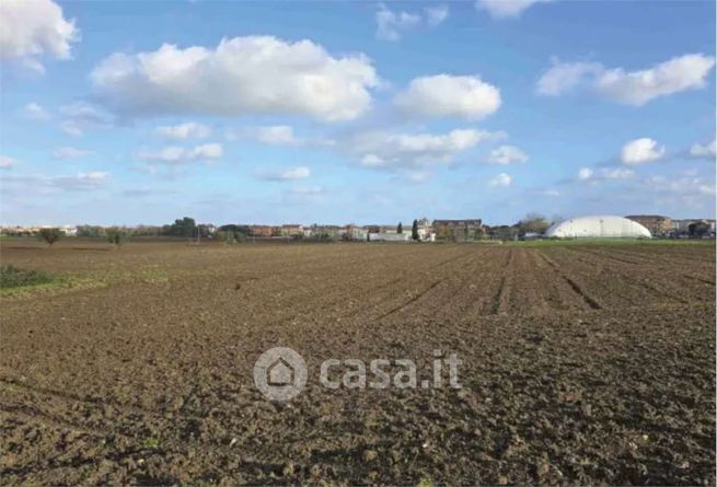 Terreno agricolo in commerciale in Viale Europa