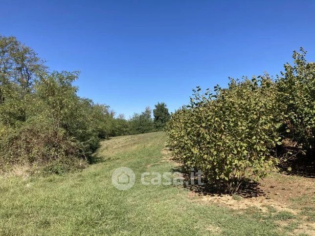 Terreno agricolo in commerciale in 