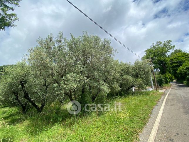 Terreno agricolo in commerciale in Via Pratarone