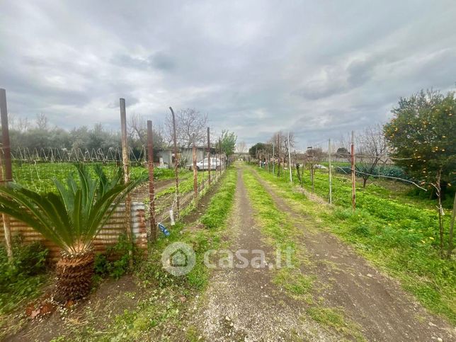 Terreno agricolo in commerciale in Corso Domenico Riccardi