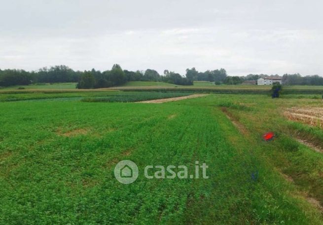 Terreno agricolo in commerciale in Via Collosomano